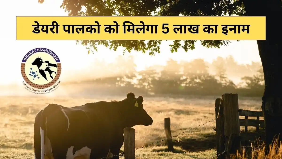 डेयरी पालको को मिलेगा 5 लाख का इनाम,  राष्ट्रीय गोकुल मिशन योजना के आवेदन जारी
