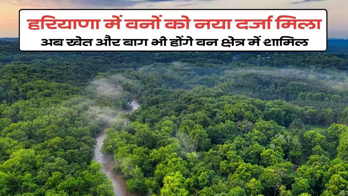 forests-got-new-status-in-haryana-now-farms-and-orchards-will-also-be-included-68a719406abda