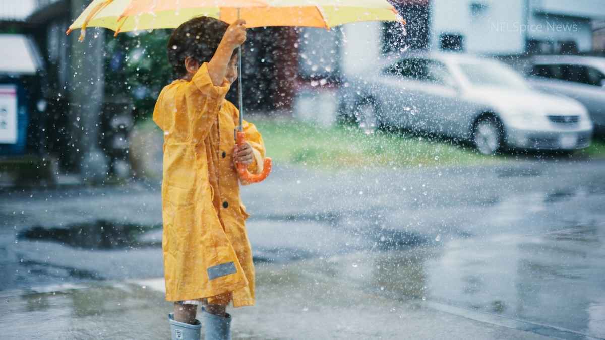 haryana weather today