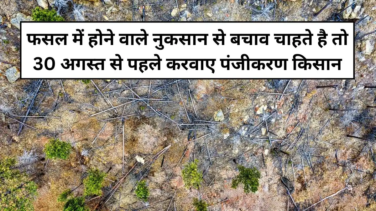 प्राकृतिक रूप से फसल में होने वाले नुकसान से बचाव चाहते है तो 30 अगस्त से पहले करवाए पंजीकरण किसान