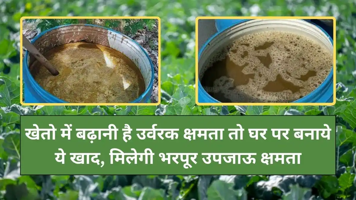 agriculture tips