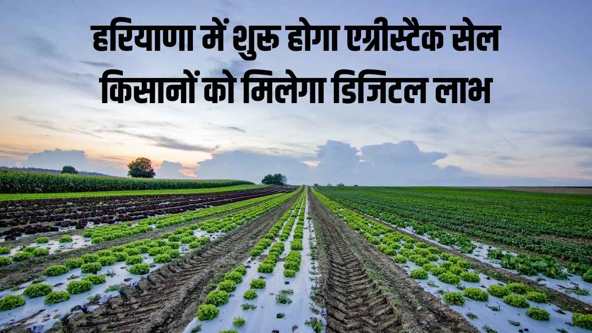 हरियाणा में शुरू होगा एग्रीस्टैक सेल, किसानों को मिलेगा डिजिटल लाभ