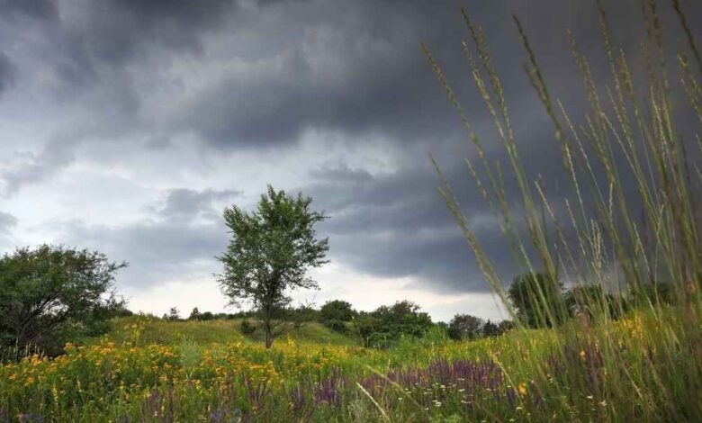 हरियाणा में अगले 5 दिन कैसा रहेगा मौसम? बारिश और तापमान का ताजा अपडेट