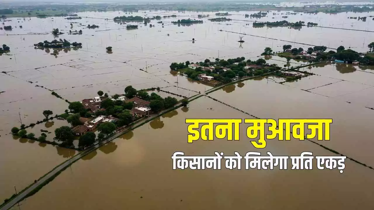 हरियाणा में बाढ़ राहत शुरू: किसानों को मिलेगा प्रति एकड़ इतना मुआवजा