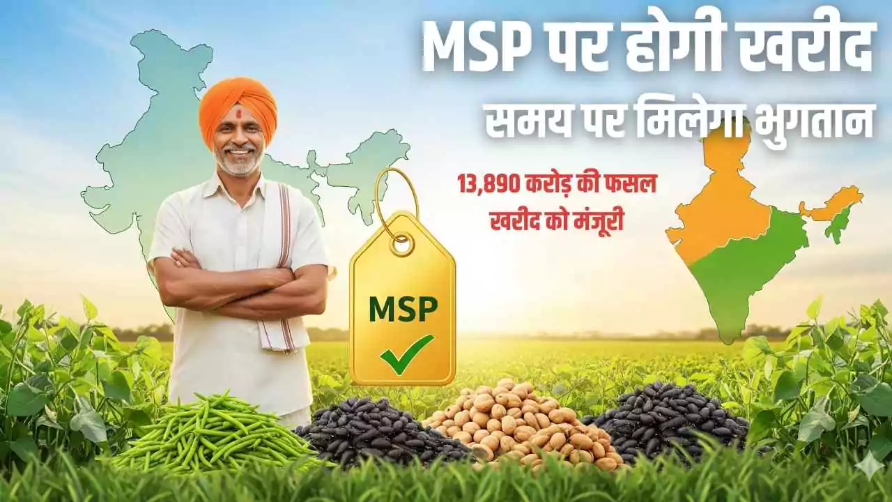 यूपी-गुजरात के किसानों को सौगात: 13,890 करोड़ की फसल खरीद को मंजूरी