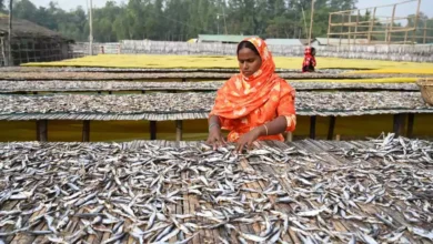 बिहार में मछली पालन को नई उड़ान: 35% सब्सिडी और डिजिटल सपोर्ट, कमाई में होगी बढ़ौतरी