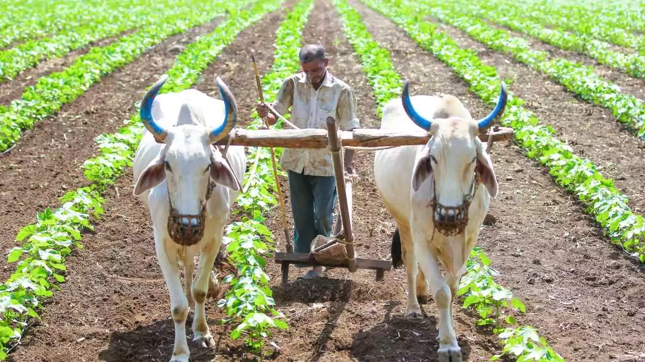 PM Kisan Yojana: 21वीं किस्त का इंतज़ार खत्म, जल्द आएंगे 2,000 रुपये!