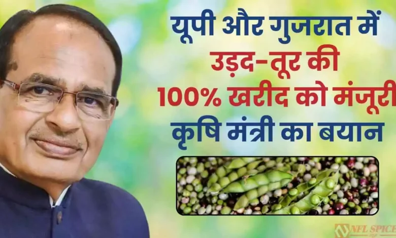 MSP Boost: यूपी और गुजरात में उड़द-तूर की 100% खरीद को मंजूरी, कृषि मंत्री का बयान