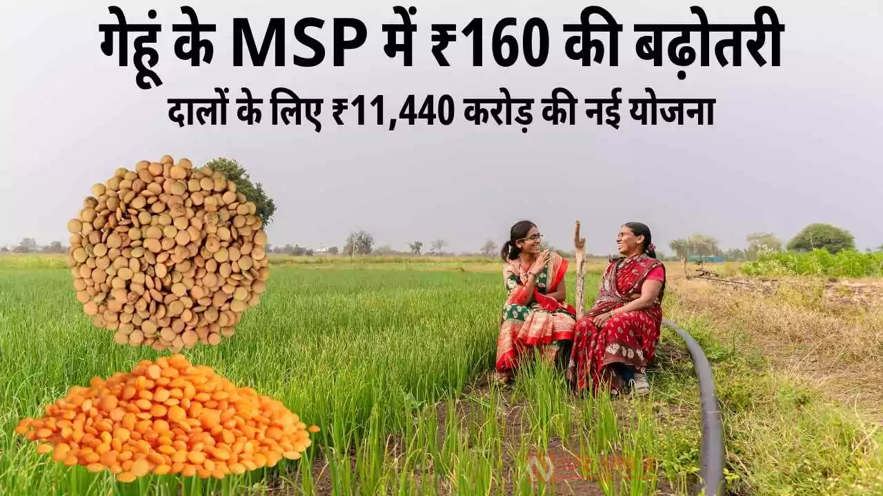 Cabinet Decision 2025: गेहूं के MSP में ₹160 की बढ़ोतरी, दालों के लिए ₹11,440 करोड़ की नई योजना