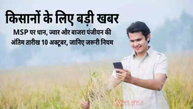 किसानों के लिए बड़ी खबर: MSP पर धान, ज्वार और बाजरा पंजीयन की अंतिम तारीख 10 अक्टूबर, जानिए जरूरी नियम