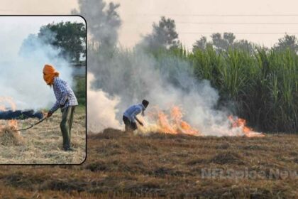 दीवाली बाद भी उत्तर भारत में सांसों का संकट, पराली जलाने से बिगड़ रही हवा