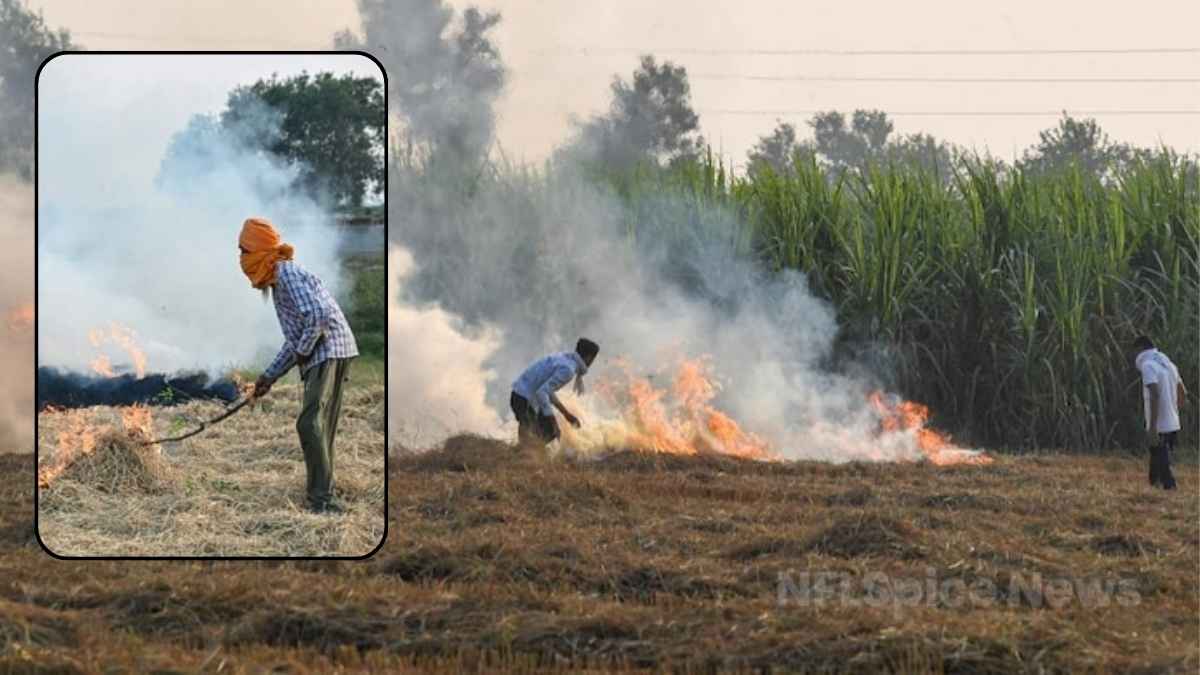 दीवाली बाद भी उत्तर भारत में सांसों का संकट, पराली जलाने से बिगड़ रही हवा दीवाली बाद भी उत्तर भारत में सांसों का संकट, पराली जलाने से बिगड़ रही हवा