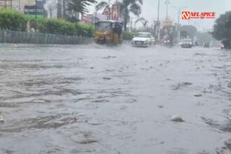 Heavy rain wreaks havoc in Kerala, orange alert in six districts