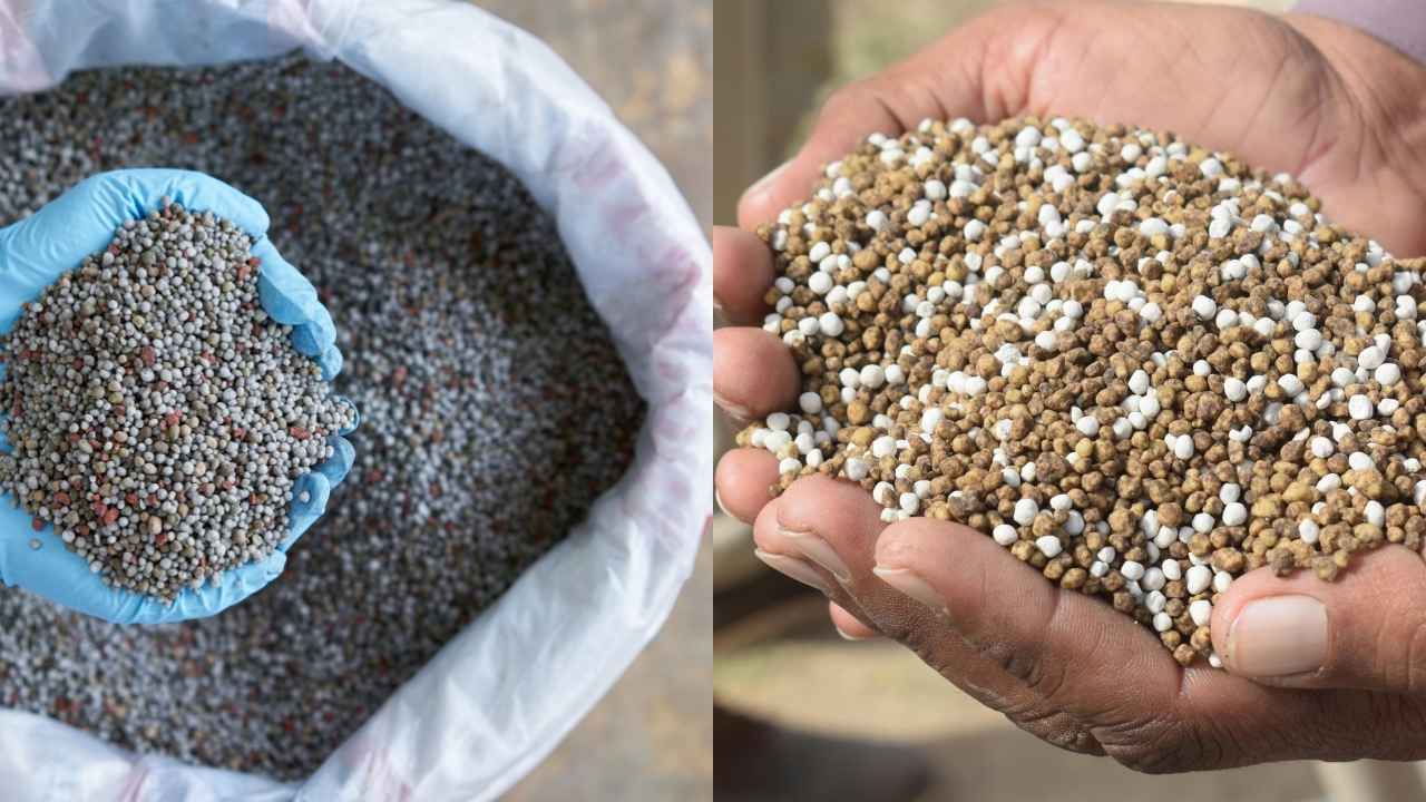 किसानों के लिए जरूरी खबर: घर पर ऐसे करें असली-नकली खाद की पहचान