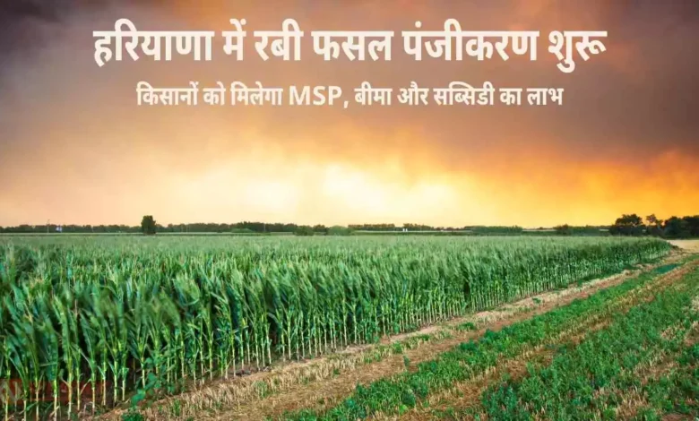हरियाणा में रबी फसल पंजीकरण शुरू: किसानों को मिलेगा MSP, बीमा और सब्सिडी का लाभ