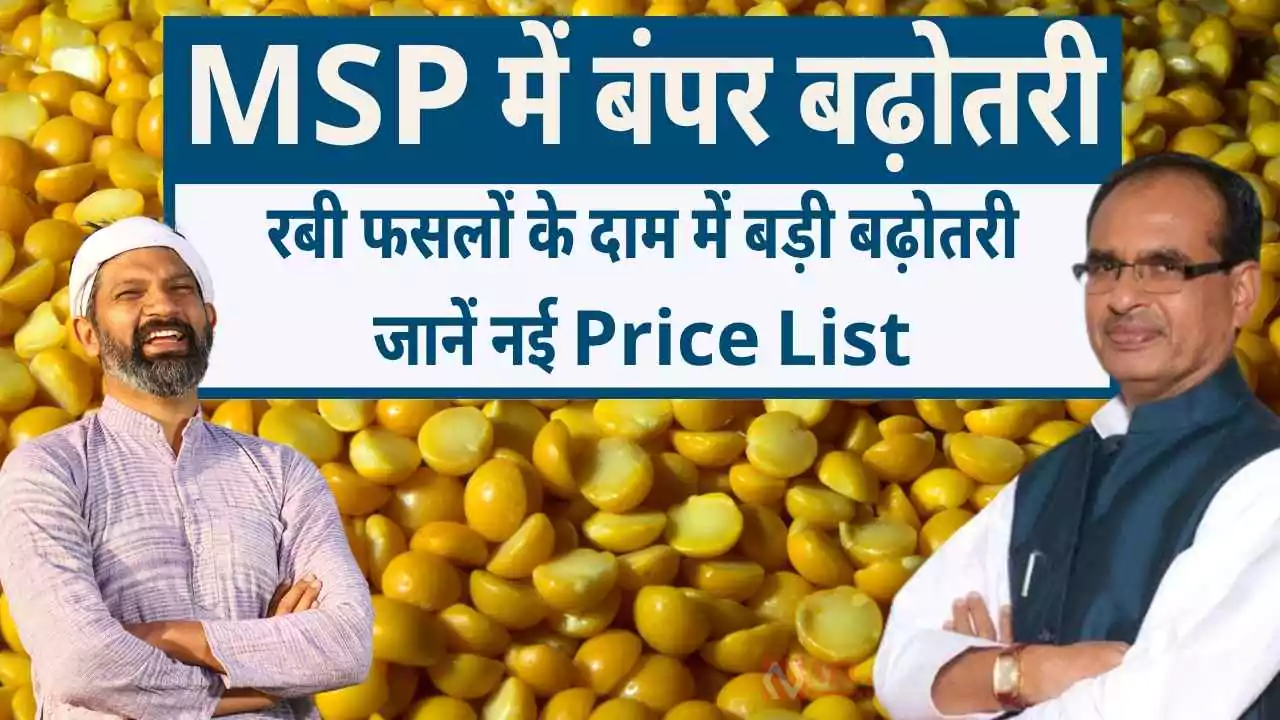 MSP New List 2026 - 27 Rabi Crops Price Increase