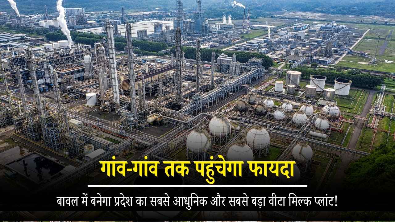 हरियाणा के दूध उत्पादकों की किस्मत बदलने वाला कदम: बावल में बनेगा प्रदेश का सबसे आधुनिक और सबसे बड़ा वीटा मिल्क प्लांट!