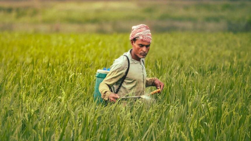 DAP और यूरिया के साथ अतिरिक्त सामान बेचा तो होगी कार्रवाई—कृषि मंत्री राणा का सख्त आदेश