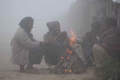 ठंड ने हरियाणा में जोर पकड़ लिया, रातें और ठंडी होंगी! 29 को बारिश की संभावना