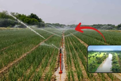 Haryana’s Mega Water Plan: Canal Upgrades, 80 Lakes Revived, ₹5,700 Crore Investment