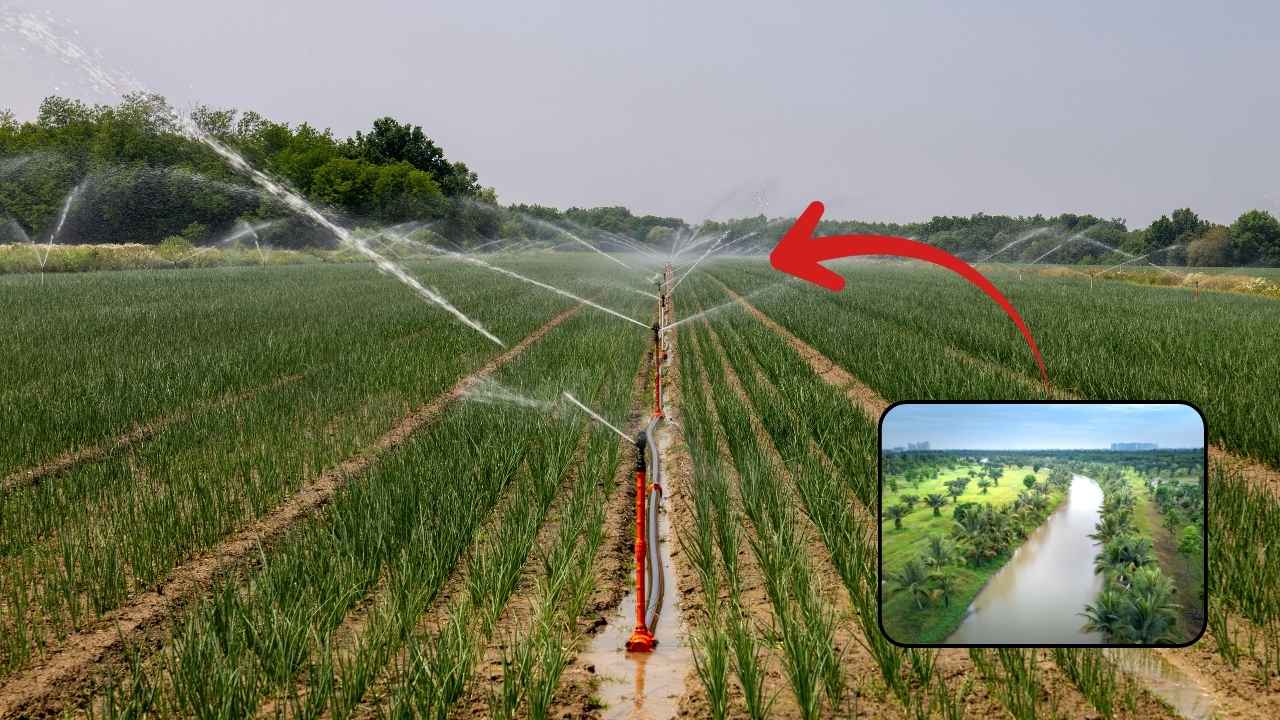 Haryana’s Mega Water Plan: Canal Upgrades, 80 Lakes Revived, ₹5,700 Crore Investment Haryana’s Mega Water Plan: Canal Upgrades, 80 Lakes Revived, ₹5,700 Crore Investment