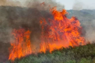 खेतों में धुआं और थाने में केस—भिवानी में दो किसानों पर पराली जलाने का मुकदमा दर्ज