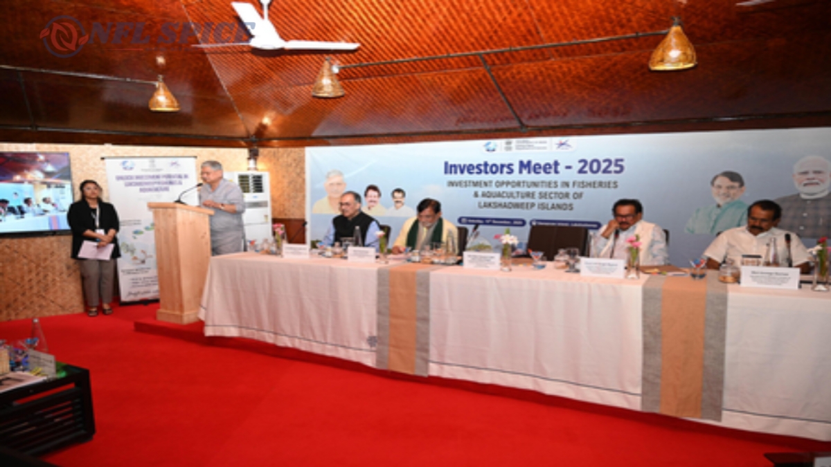 लक्षद्वीप की ब्लू इकोनॉमी में 500 करोड़ की एंट्री, समुद्र से निकलेगा विकास का नया रास्ता लक्षद्वीप की ब्लू इकोनॉमी में 500 करोड़ की एंट्री, समुद्र से निकलेगा विकास का नया रास्ता