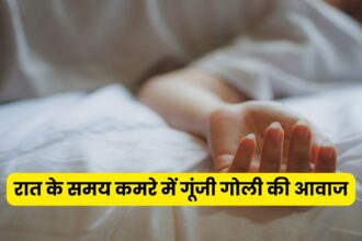 फतेहाबाद: 26 वर्षीय महिला ने पति के लाइसेंसी पिस्तौल से की आत्महत्या, दो मासूम बच्चियों की मां थी हरदीप