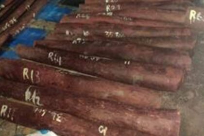 चेन्नई में डीआरआई की बड़ी कार्रवाई: 15 टन लाल चंदन बरामद, तस्करी नेटवर्क बेनकाब