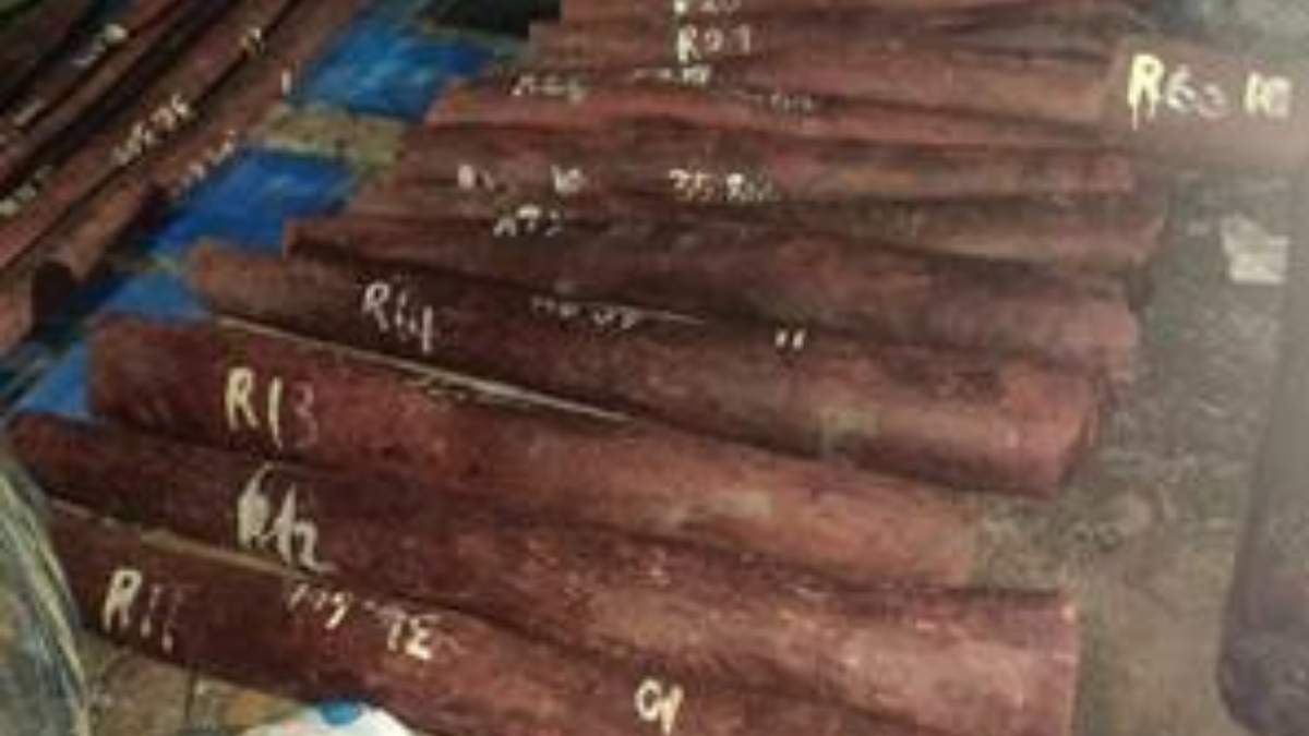 चेन्नई में डीआरआई की बड़ी कार्रवाई: 15 टन लाल चंदन बरामद, तस्करी नेटवर्क बेनकाब चेन्नई में डीआरआई की बड़ी कार्रवाई: 15 टन लाल चंदन बरामद, तस्करी नेटवर्क बेनकाब