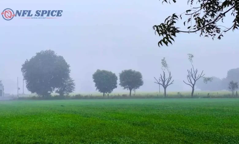 हरियाणा में ठंड का कहर: बर्फीली हवाओं और घने कोहरे से जनजीवन प्रभावित, कई जगहों पर बूंदाबांदी की आशंका
