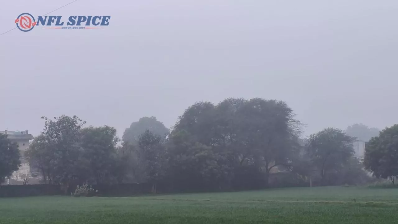 हरियाणा में ठंड का कहर: बर्फीली हवाओं और घने कोहरे से जनजीवन प्रभावित, कई जगहों पर बूंदाबांदी की आशंका