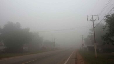 हरियाणा में हाड़ कंपा देने वाली ठंड और घना कोहरा: 10 जिलों में ऑरेंज अलर्ट, नए साल से बारिश की उम्मीद – जानें पूरा अपडेट हरियाणा में हाड़ कंपा देने वाली ठंड और घना कोहरा