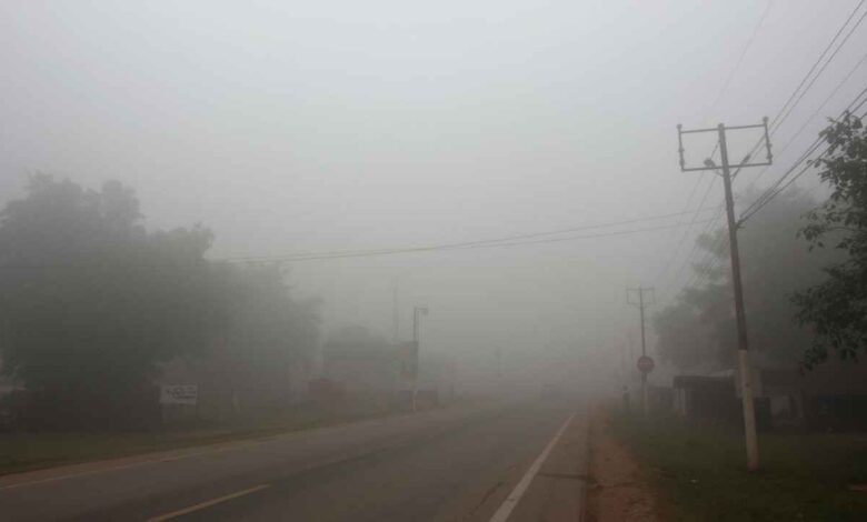 हरियाणा में हाड़ कंपा देने वाली ठंड और घना कोहरा