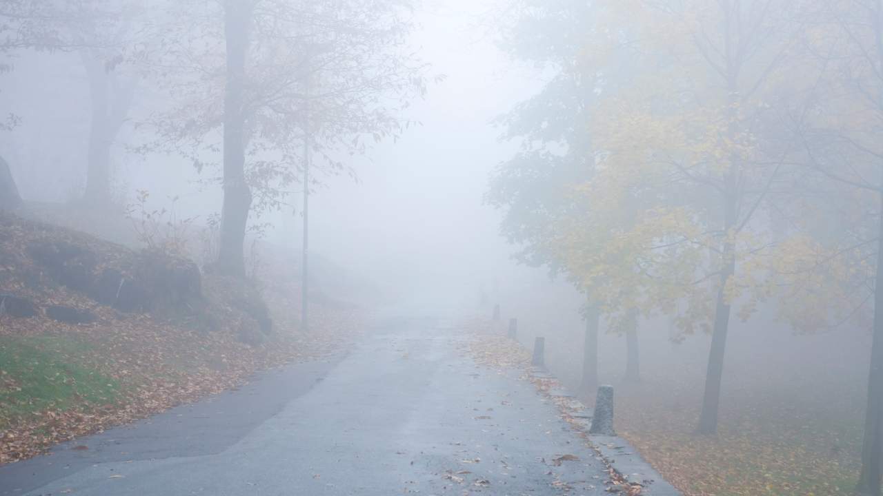 हरियाणा में 9 दिसंबर से कड़क सर्दी की एंट्री! छह जिलों में येलो अलर्ट, तापमान तेजी से लुढ़कने की चेतावनी हरियाणा में 9 दिसंबर से कड़क सर्दी की एंट्री! छह जिलों में येलो अलर्ट, तापमान तेजी से लुढ़कने की चेतावनी