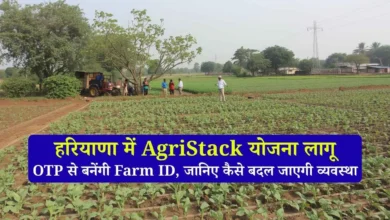 हरियाणा में किसानों की डिजिटल पहचान शुरू: OTP से बनेंगी Farm ID, जानिए कैसे बदल जाएगी व्यवस्था
