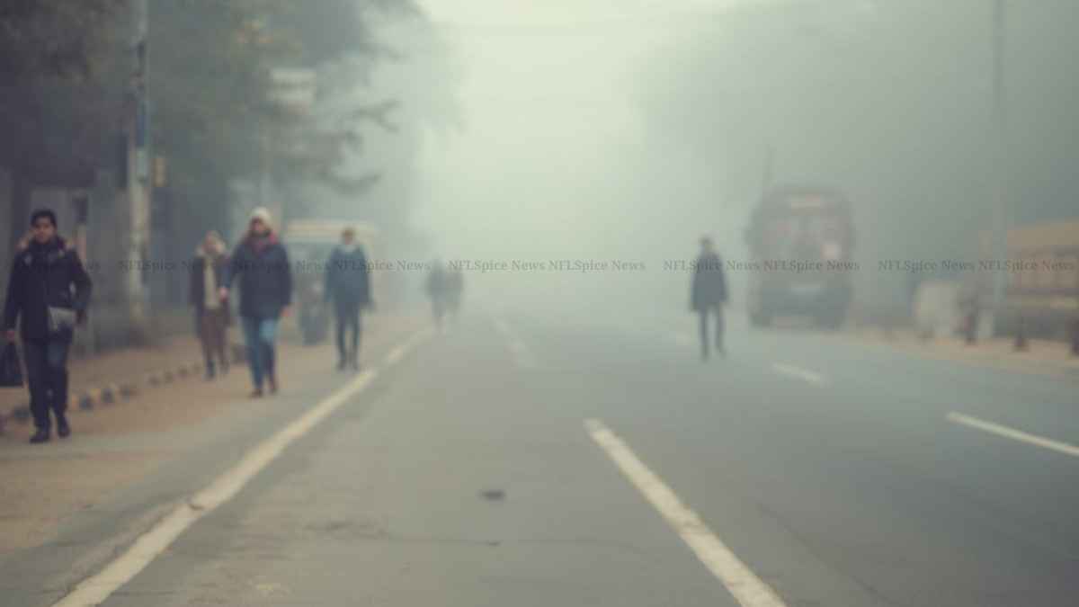 10 मीटर तक सिमटी दृश्यता: हरियाणा में फिर लौटी गहरी धुंध, हिसार सबसे ठंडा 10 मीटर तक सिमटी दृश्यता: हरियाणा में फिर लौटी गहरी धुंध, हिसार सबसे ठंडा