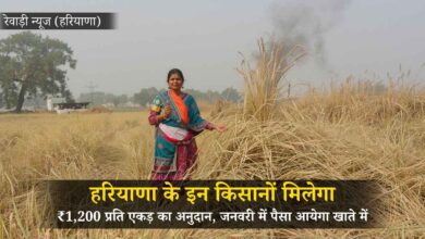 हरियाणा के इन किसानों के खातों में आएगा 1200 रुपये प्रति एकड़ अनुदान हरियाणा में पराली संभालने वाले किसानों को मिलेगी बड़ी राहत, जनवरी में आएगा 1200 रुपये प्रति एकड़ अनुदान
