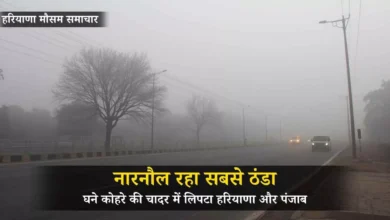 घने कोहरे की चादर में लिपटा हरियाणा और पंजाब, नारनौल रहा सबसे ठंडा, गाड़ियों की रफ्तार थमी