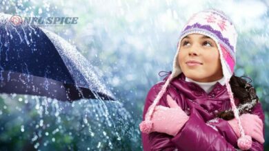 IMD का बड़ा अलर्ट: 26-28 दिसंबर तक बारिश, बर्फबारी और शीतलहर