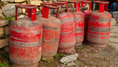 नया साल, नई कीमतें: LPG पर बढ़ सकता है बोझ, सब्सिडी में कटौती के संकेत