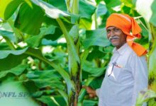 PM-Kisan में बड़ा अपडेट: एक परिवार को क्यों मिलती है सिर्फ 6000 की मदद? जानिए किसे मिलेगा फायदा और कौन होगा बाहर