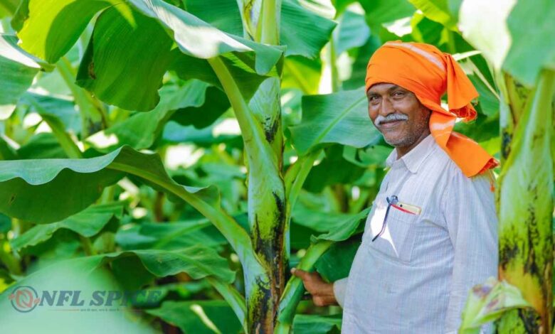 PM-Kisan में बड़ा अपडेट: एक परिवार को क्यों मिलती है सिर्फ 6000 की मदद? जानिए किसे मिलेगा फायदा और कौन होगा बाहर