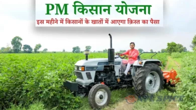 PM Kisan Yojana: eKYC और आधार लिंकिंग नहीं की तो फंस जायेगा क़िस्त का पैसा, इस महीने में आएगी क़िस्त PM Kisan Yojana: eKYC और आधार लिंकिंग नहीं की तो फंस जायेगा क़िस्त का पैसा, इस महीने में आएगी क़िस्त