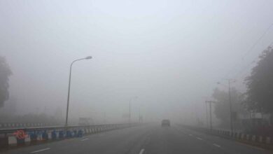 रेवाड़ी में घने कोहरे की मार: 10 मीटर तक घटा विजिबिलिटी, हादसे का खतरा बढ़ा; NCR में सर्दी चरम पर