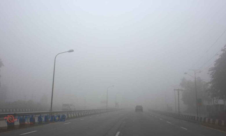 रेवाड़ी में घने कोहरे की मार: 10 मीटर तक घटा विजिबिलिटी, हादसे का खतरा बढ़ा; NCR में सर्दी चरम पर
