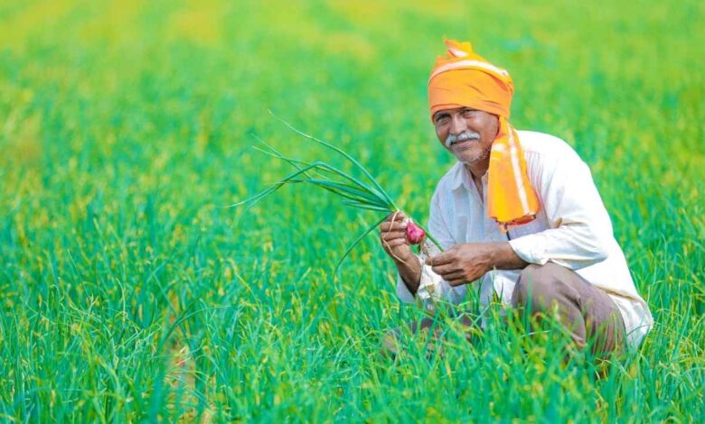 PM Kisan 22वीं किस्त पर बड़ा अपडेट: फरवरी 2026 में आएंगे ₹2000? जानिए पूरी तैयारी