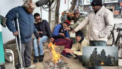 हरियाणा में कड़ाके की ठंड का कहर, नारनौल में 3 डिग्री तक गिरा पारा, शीतलहर का यलो अलर्ट