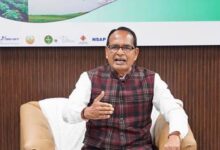 Seed Act 2026: शिवराज सिंह चौहान का बड़ा फैसला, नकली बीज बेचने वालों को होगी जेल और 30 लाख का जुर्माना