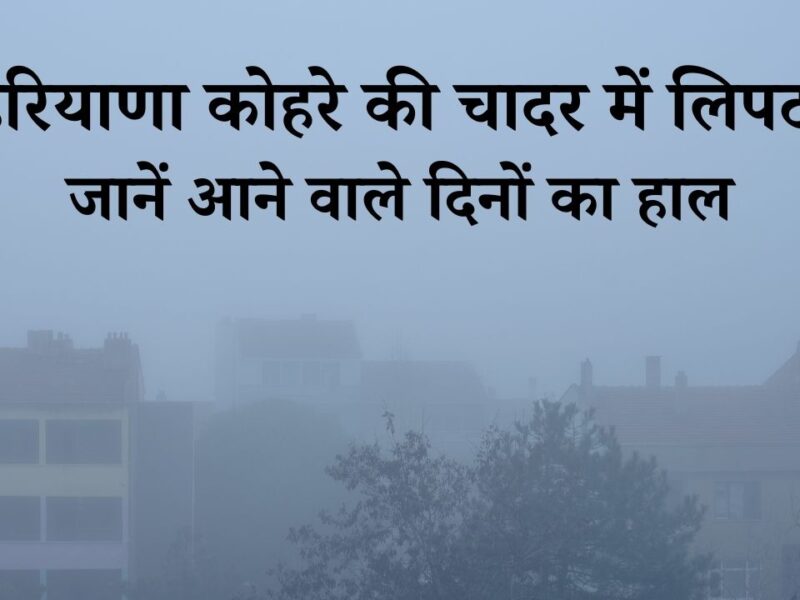 हरियाणा में कोहरे का यलो अलर्ट: हिसार सबसे ठंडा, ट्रेनों और बसों पर लगा ब्रेक, जानें आने वाले दिनों का हाल